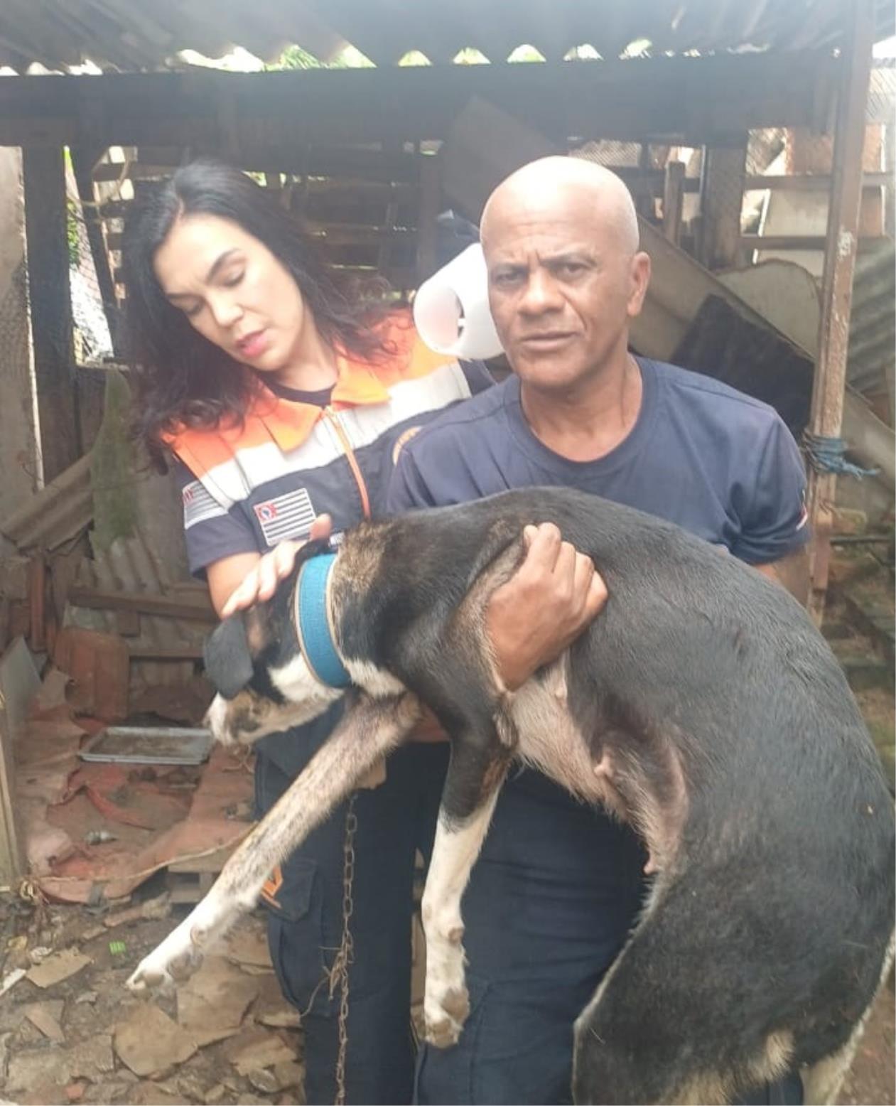 WhatsApp Image 2026-03-10 at 18.10.12