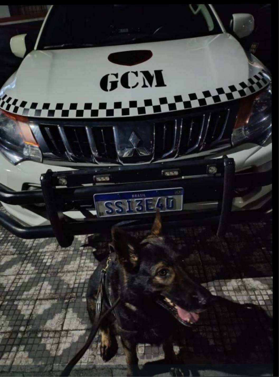 WhatsApp Image 2026-04-13 at 16.38.14