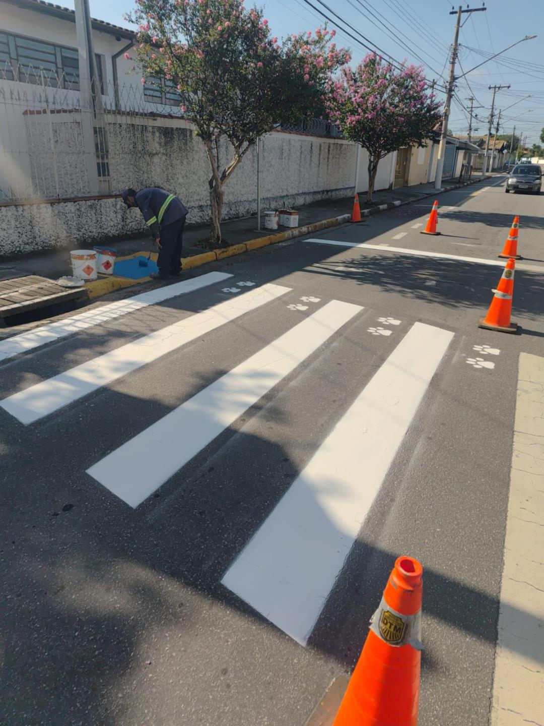 WhatsApp Image 2026-02-19 at 17.09.09