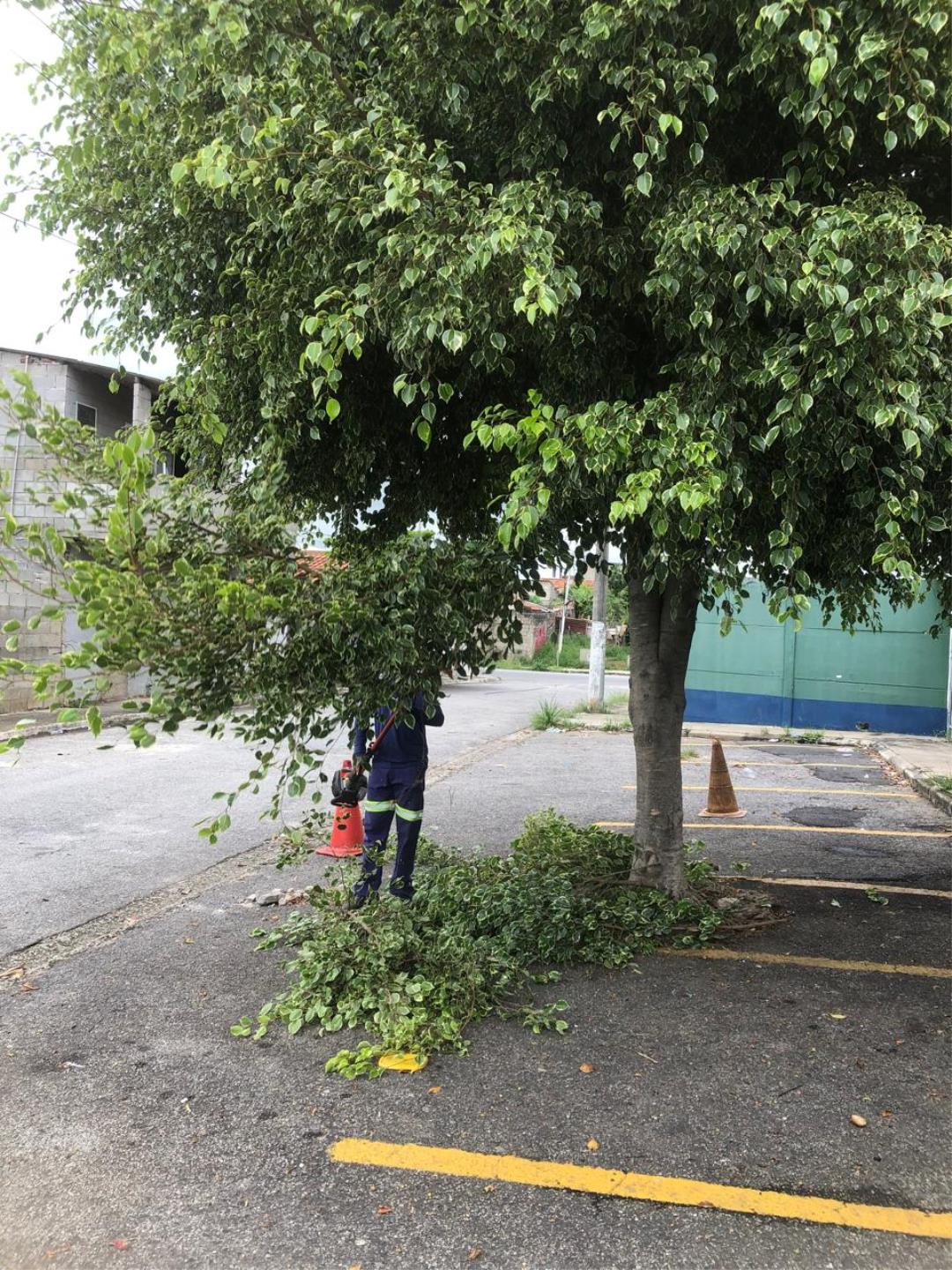 WhatsApp Image 2026-02-11 at 16.51.36