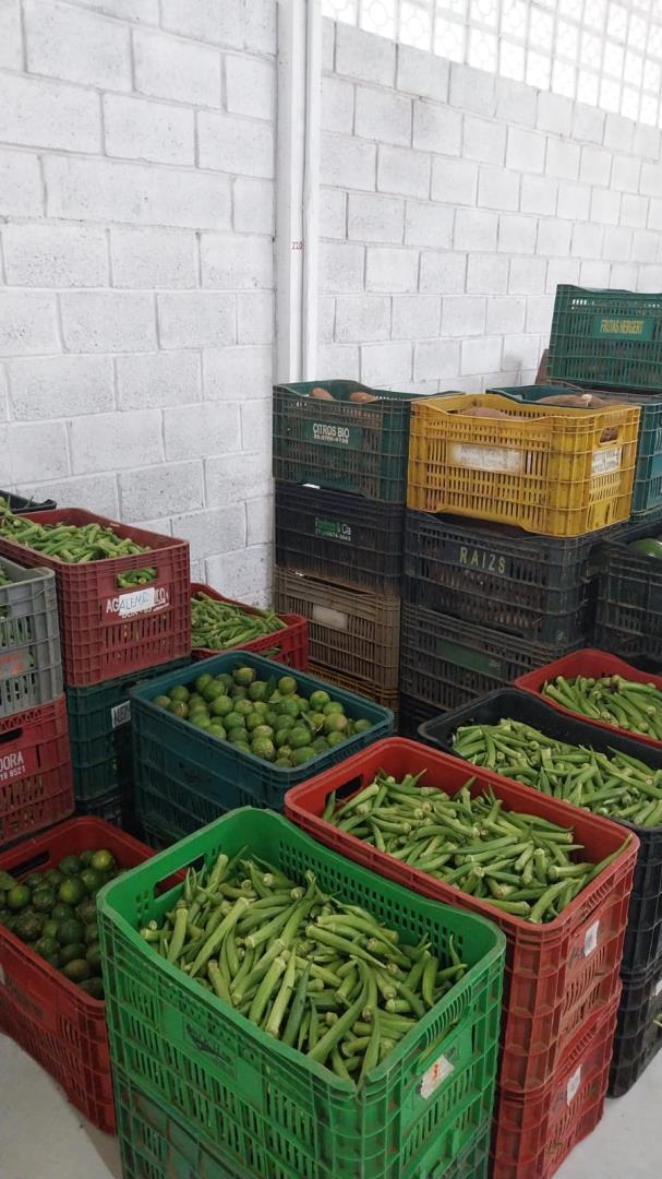 WhatsApp Image 2026-03-12 at 15.34.26