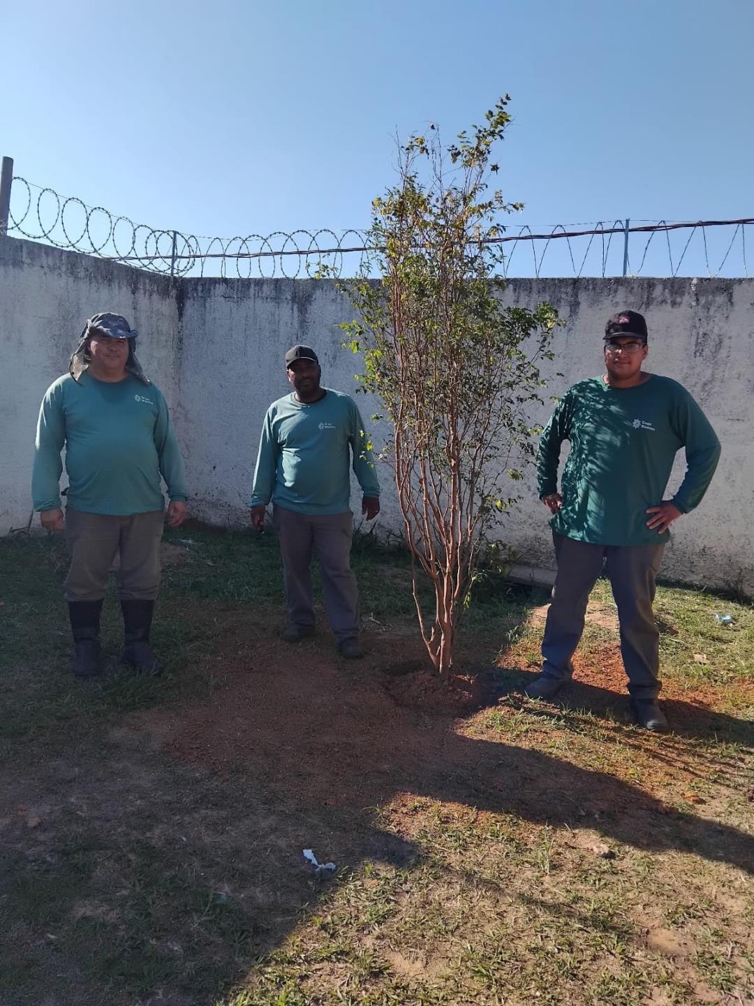 WhatsApp Image 2025-11-13 at 16.36.39