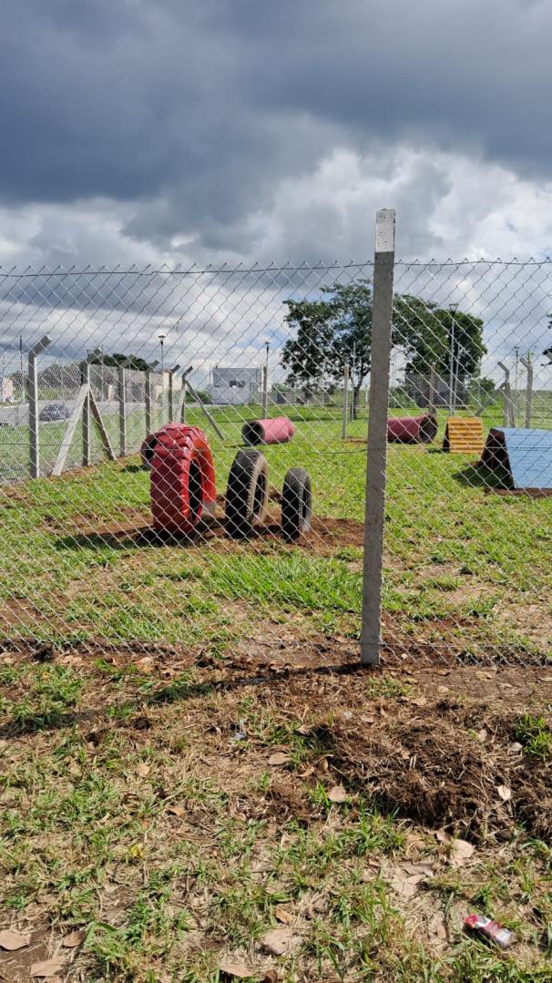 WhatsApp Image 2026-03-26 at 17.16.32