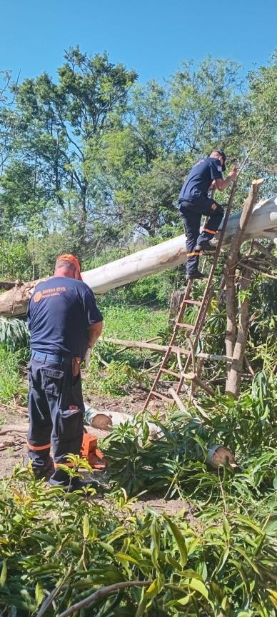 WhatsApp Image 2025-12-29 at 16.01.13