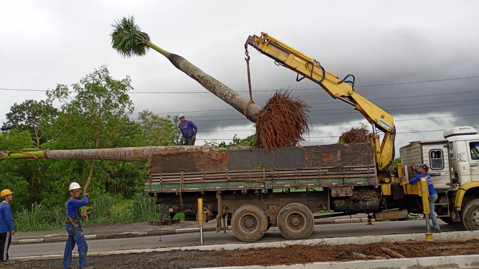 WhatsApp Image 2026-03-17 at 14.38.25