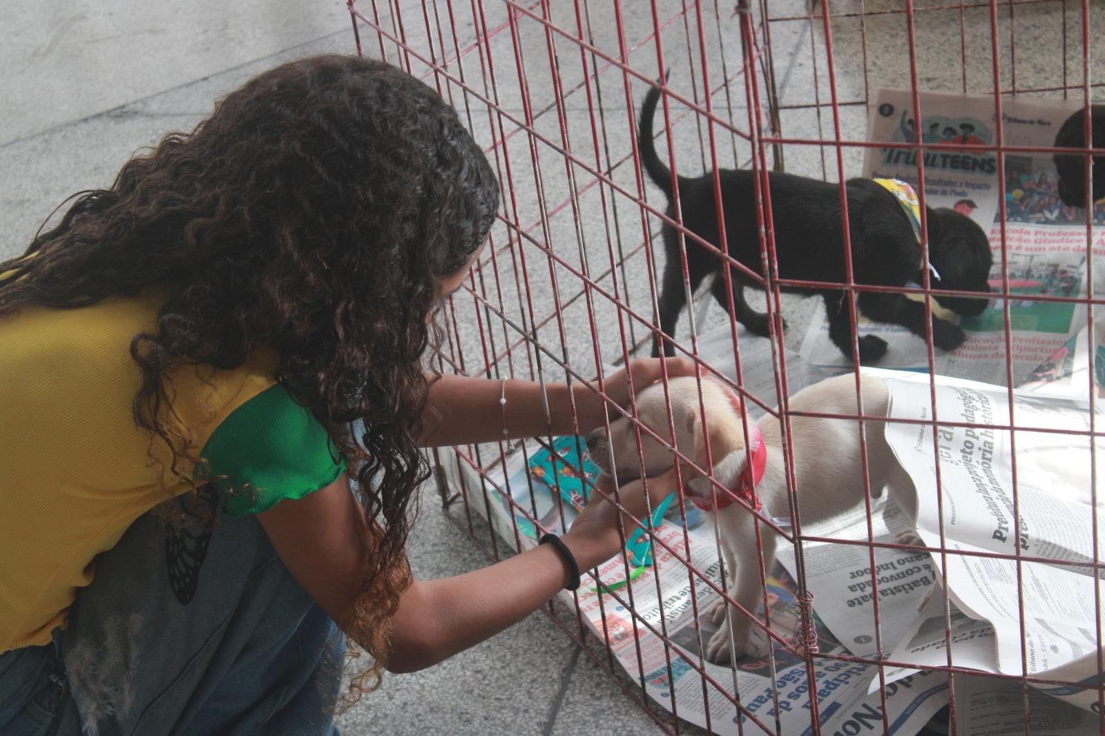 WhatsApp Image 2026-04-29 at 17.29.30