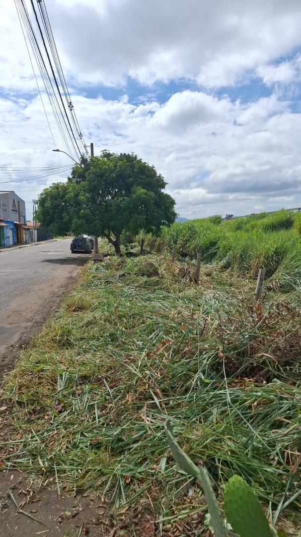 WhatsApp Image 2026-04-01 at 15.39.54