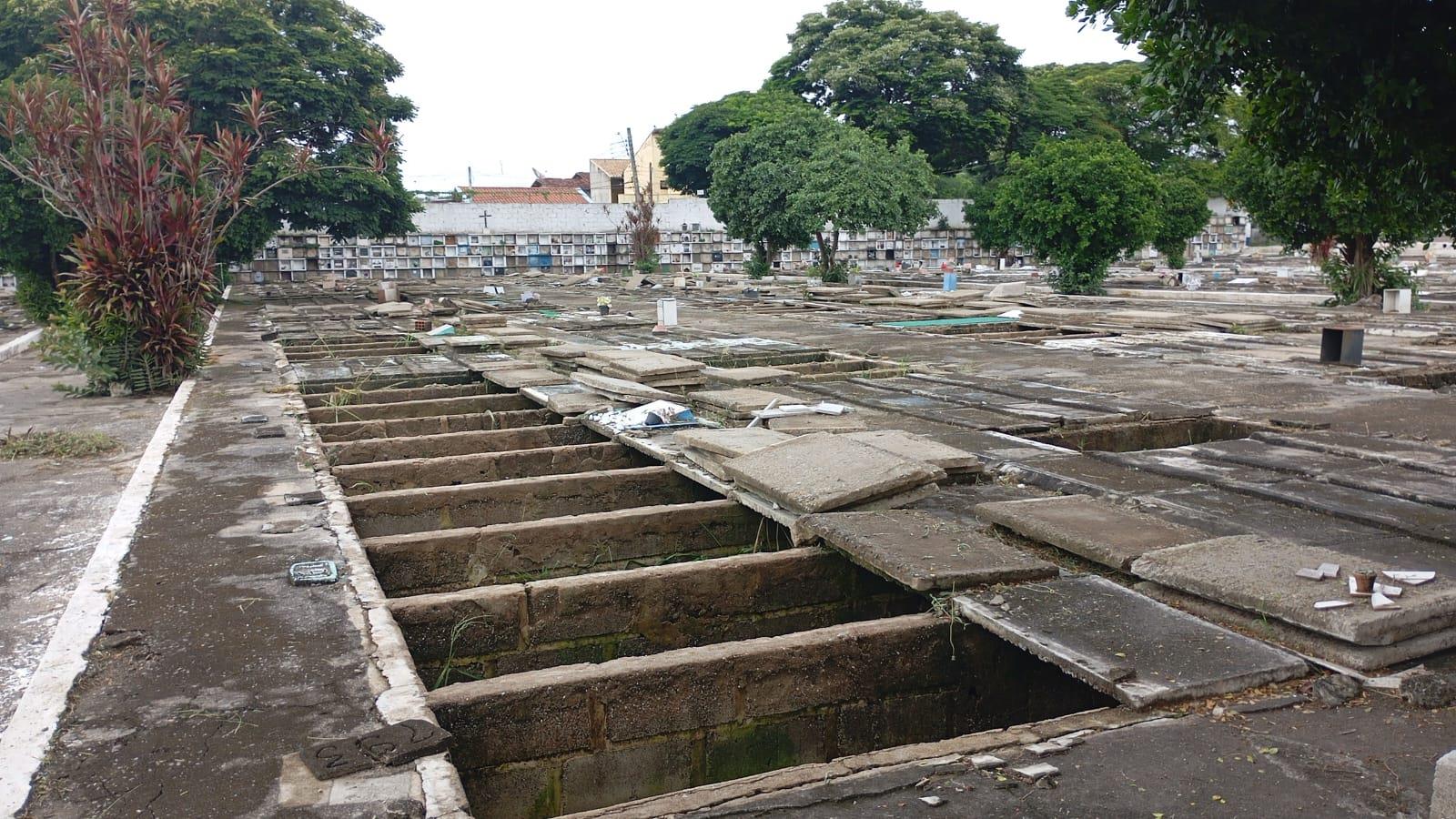 WhatsApp Image 2026-02-11 at 16.51.46