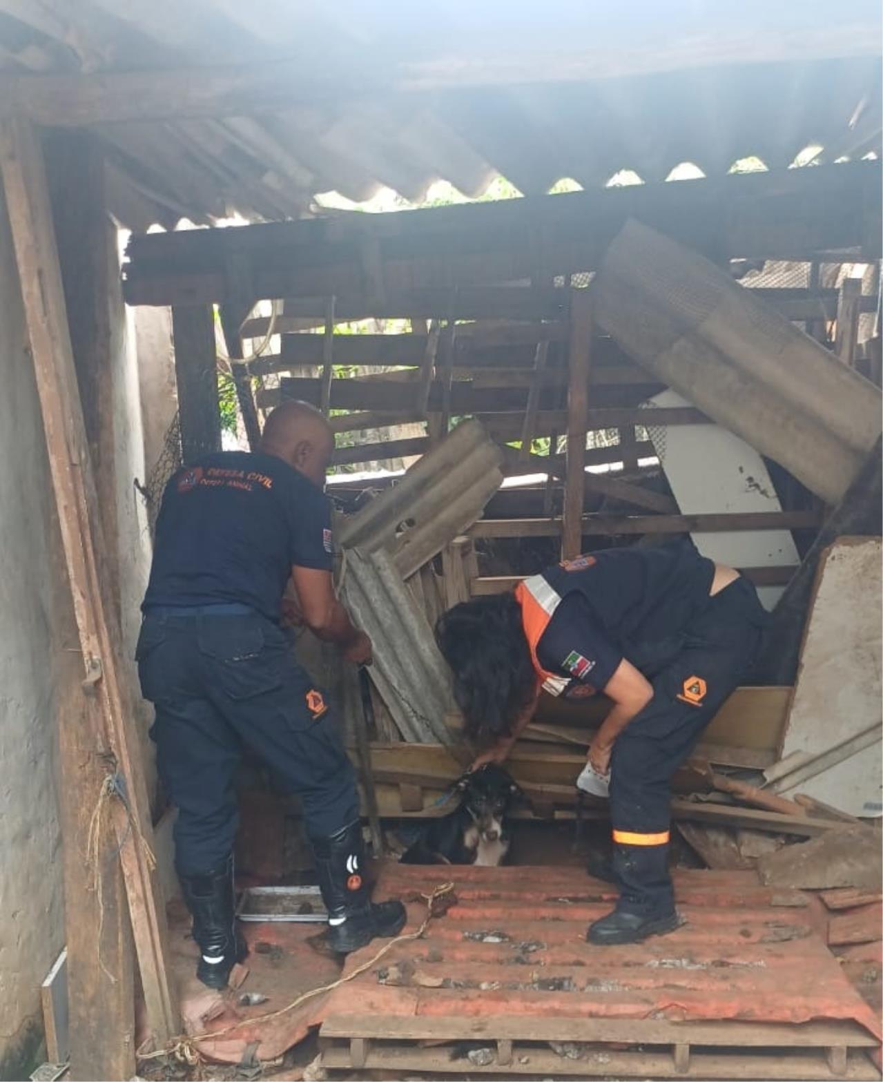 WhatsApp Image 2026-03-10 at 18.10.11