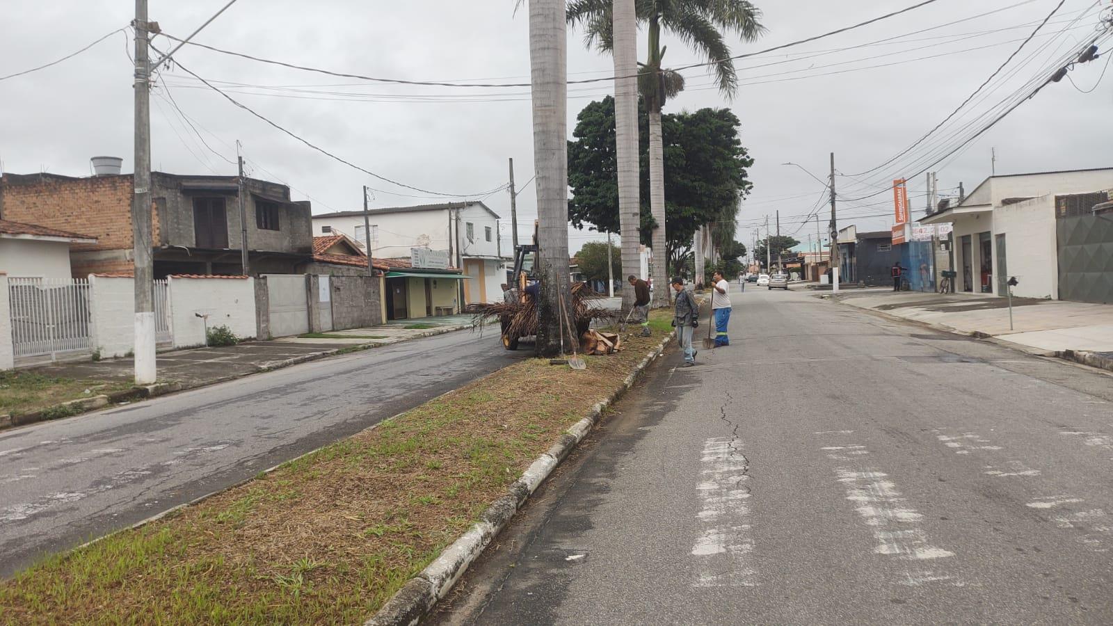 WhatsApp Image 2026-04-15 at 16.45.30