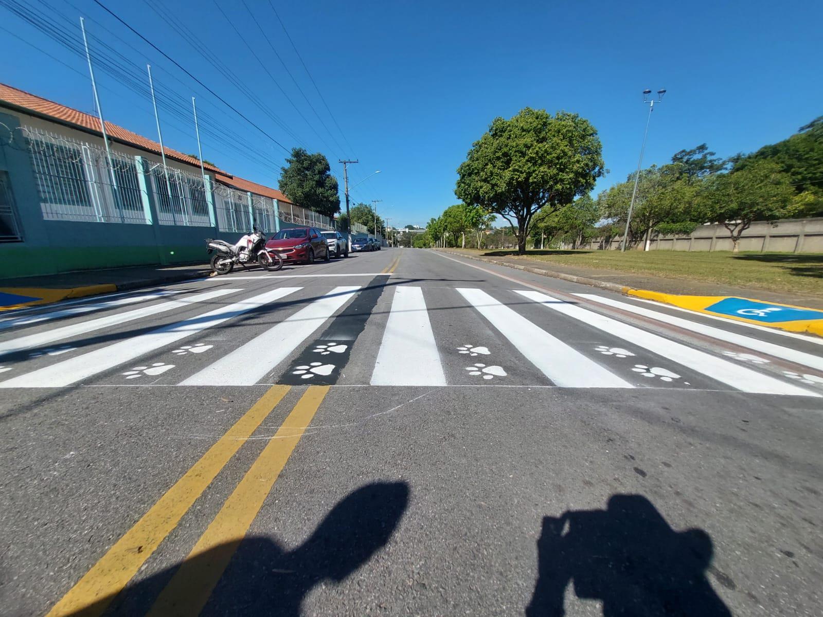 WhatsApp Image 2026-02-19 at 17.09.11