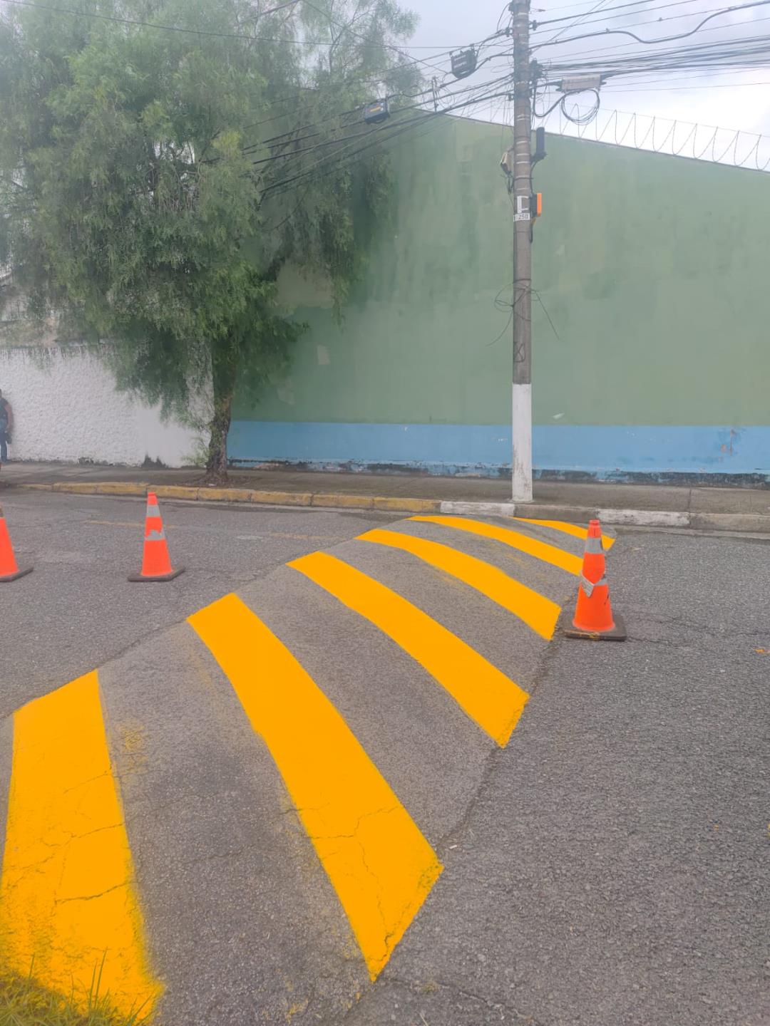 WhatsApp Image 2026-02-11 at 16.51.33 (1)