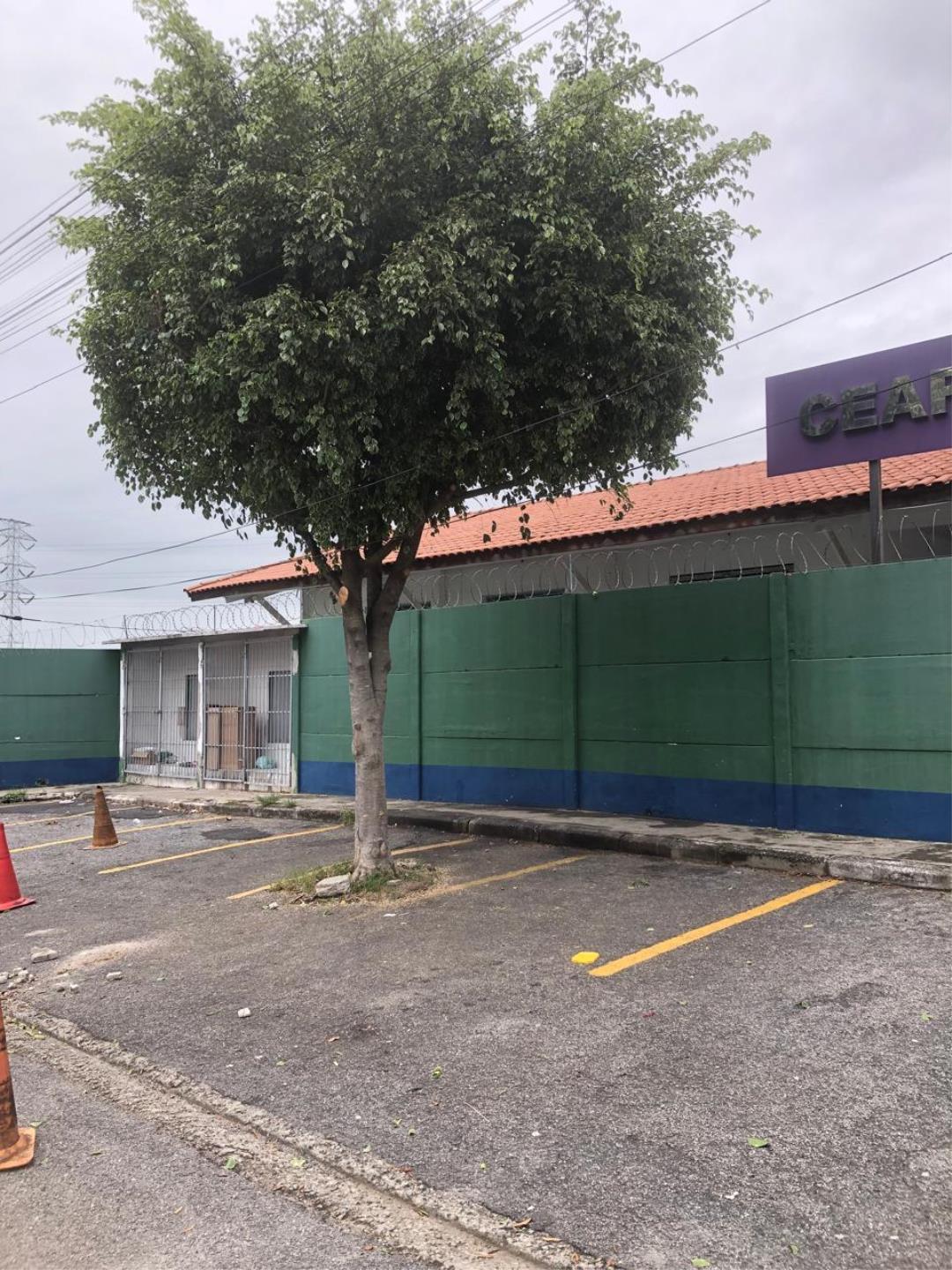 WhatsApp Image 2026-02-11 at 16.51.38