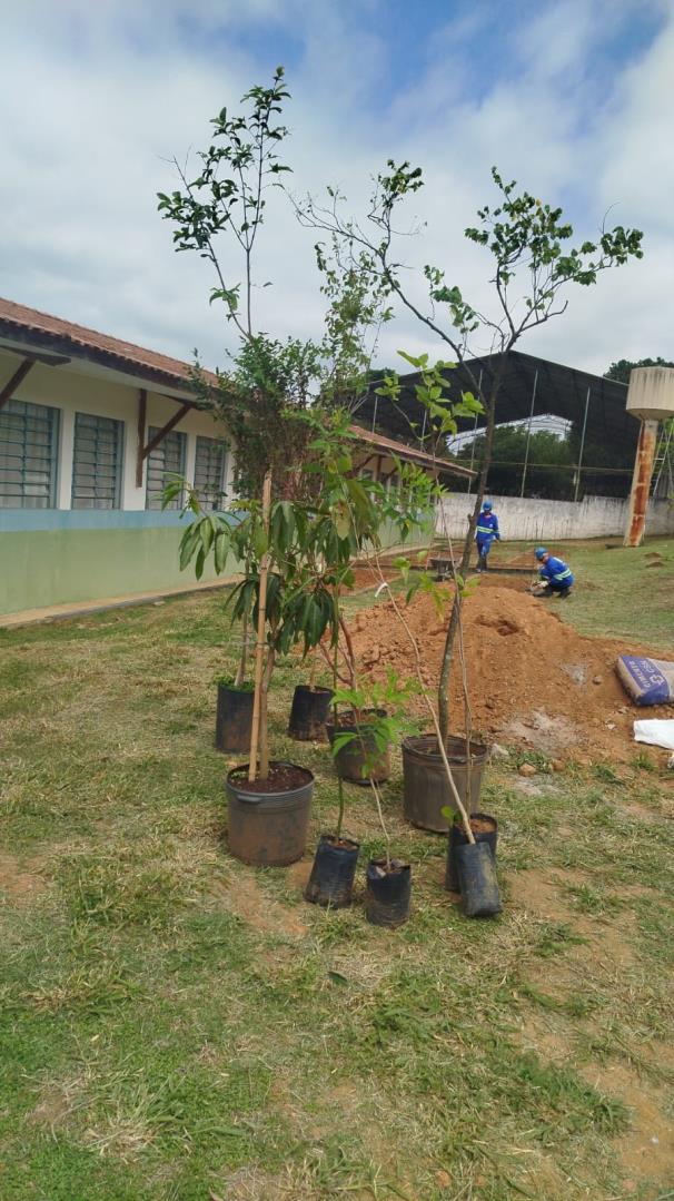 WhatsApp Image 2025-11-13 at 16.36.37