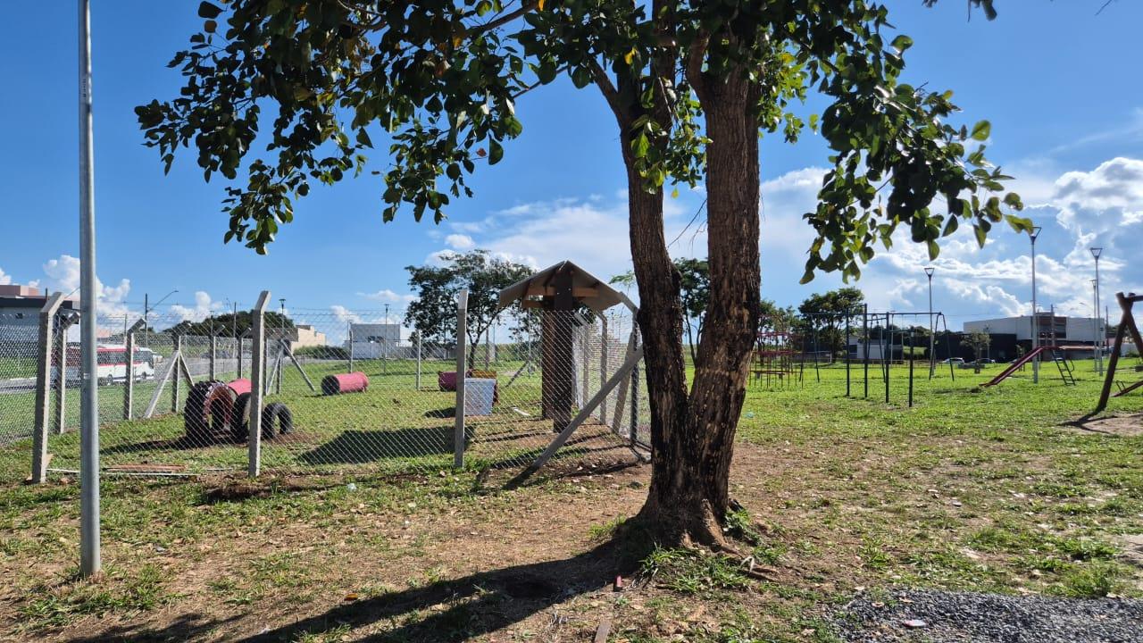 WhatsApp Image 2026-03-26 at 17.16.31 (1)