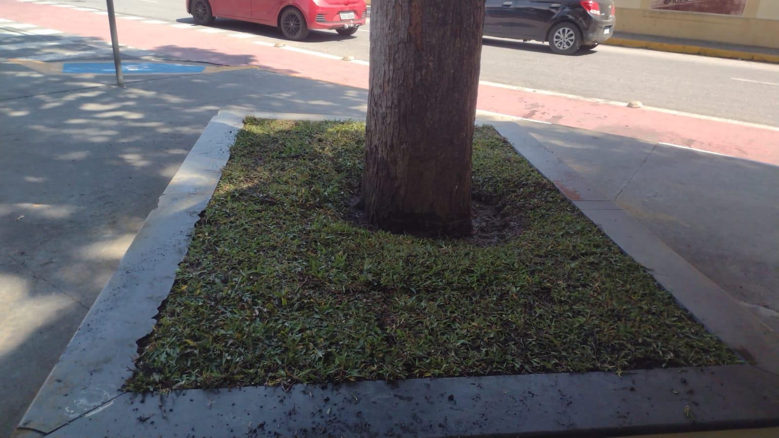 WhatsApp Image 2025-11-28 at 16.37.42 (1)