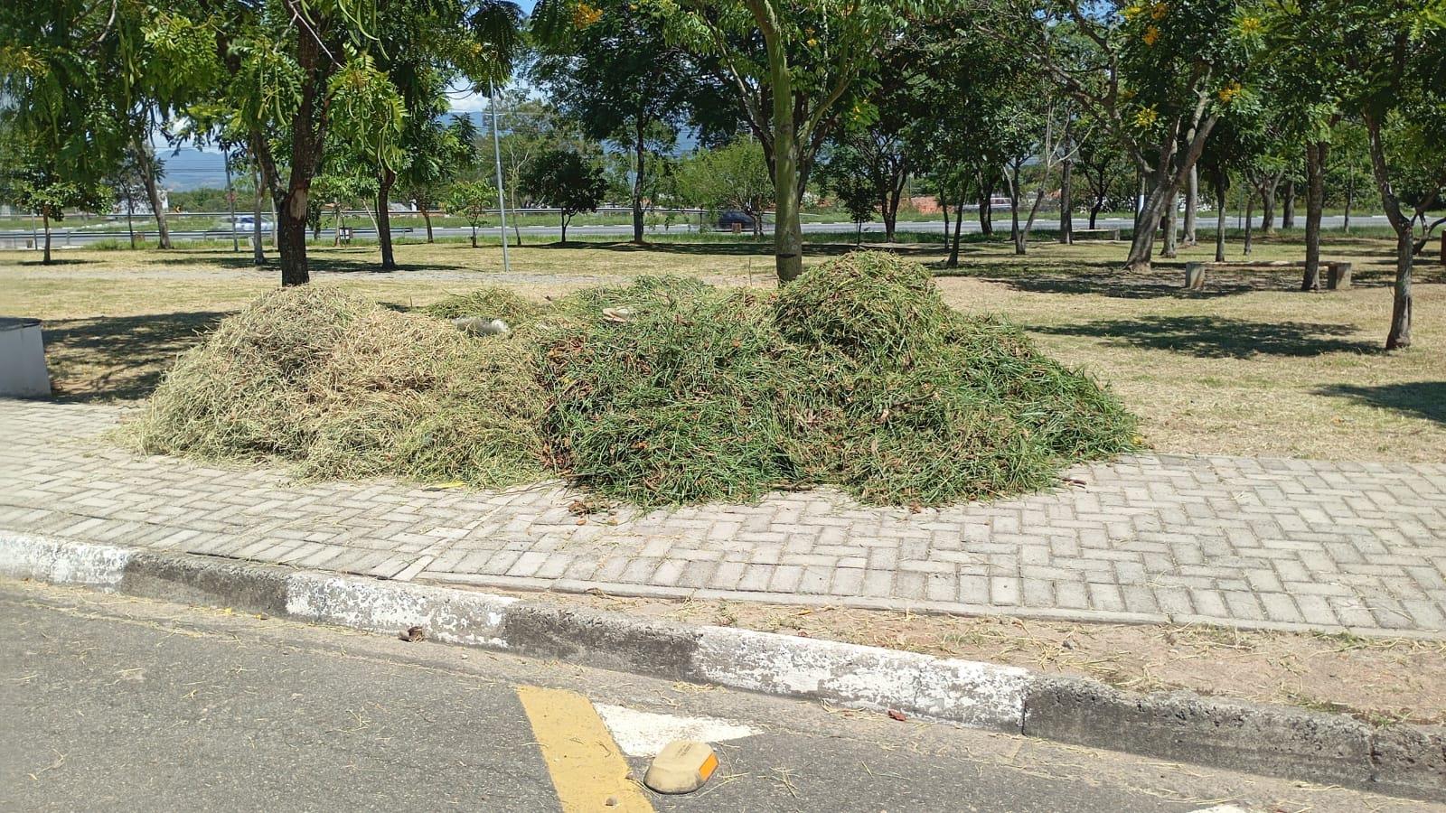 WhatsApp Image 2026-01-13 at 15.45.41