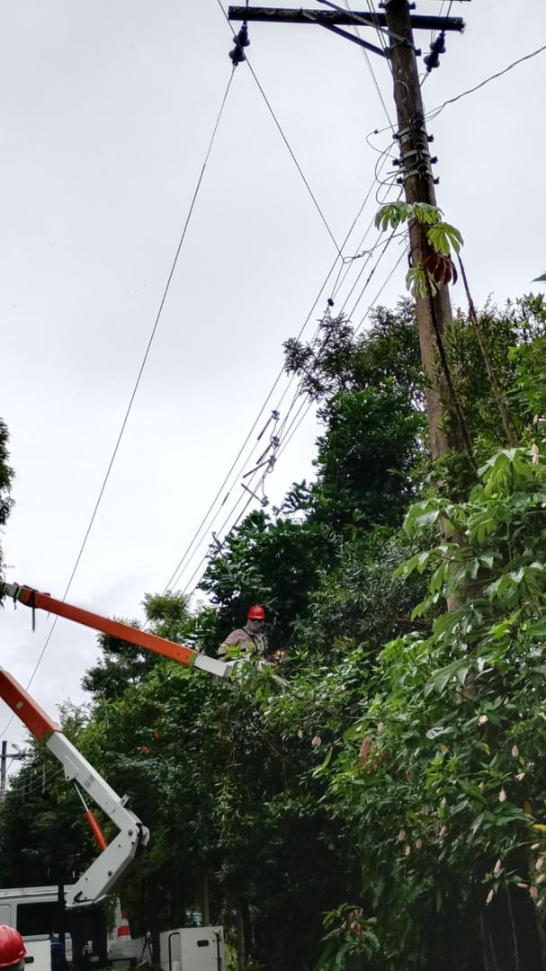 WhatsApp Image 2026-03-17 at 14.55.04