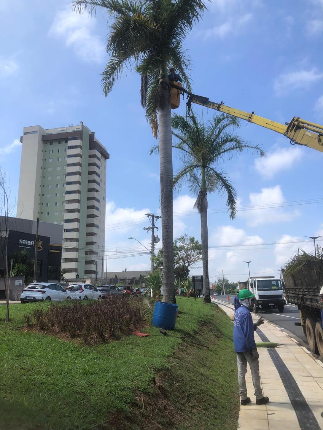 WhatsApp Image 2025-11-18 at 15.02.02