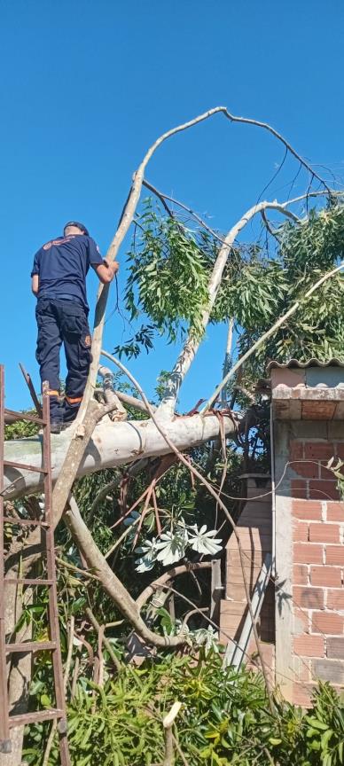 WhatsApp Image 2025-12-29 at 16.01.12