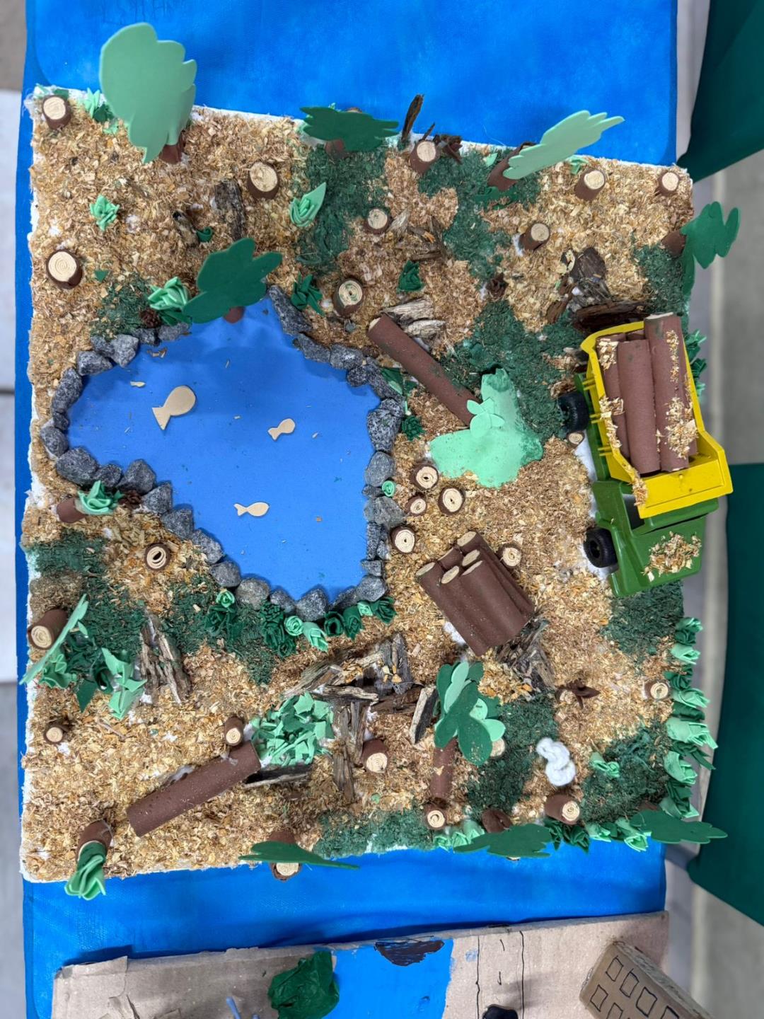 WhatsApp Image 2025-11-06 at 17.06.05