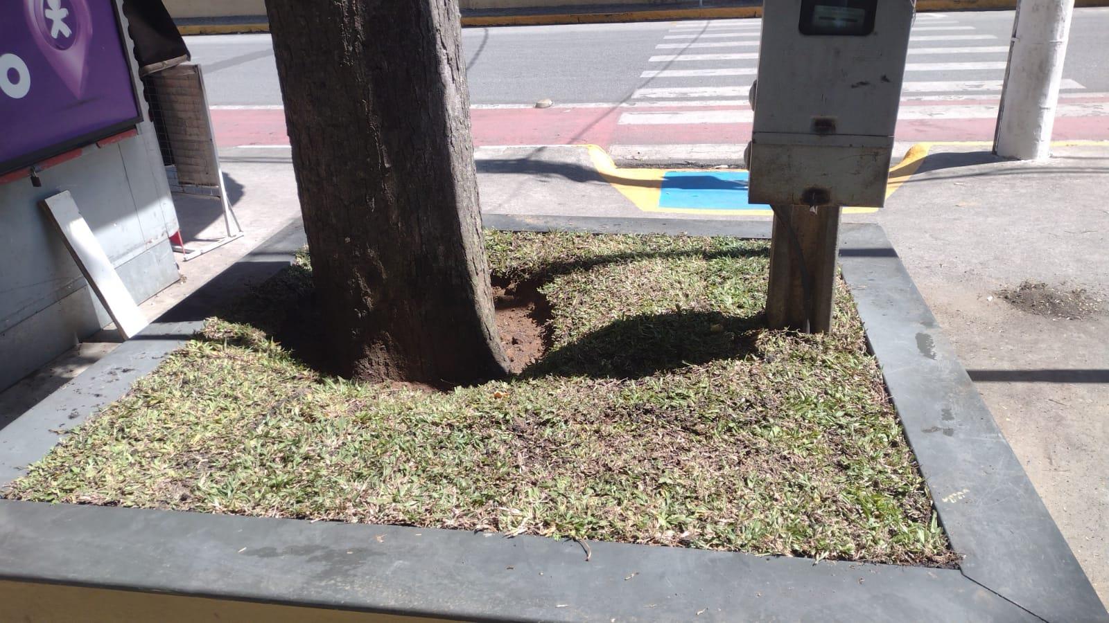 WhatsApp Image 2025-11-28 at 16.37.42