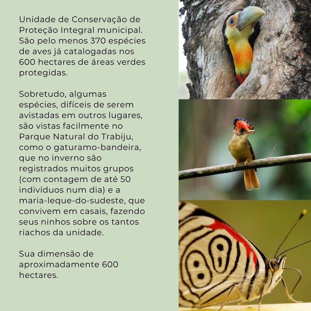 Parques-site (4)