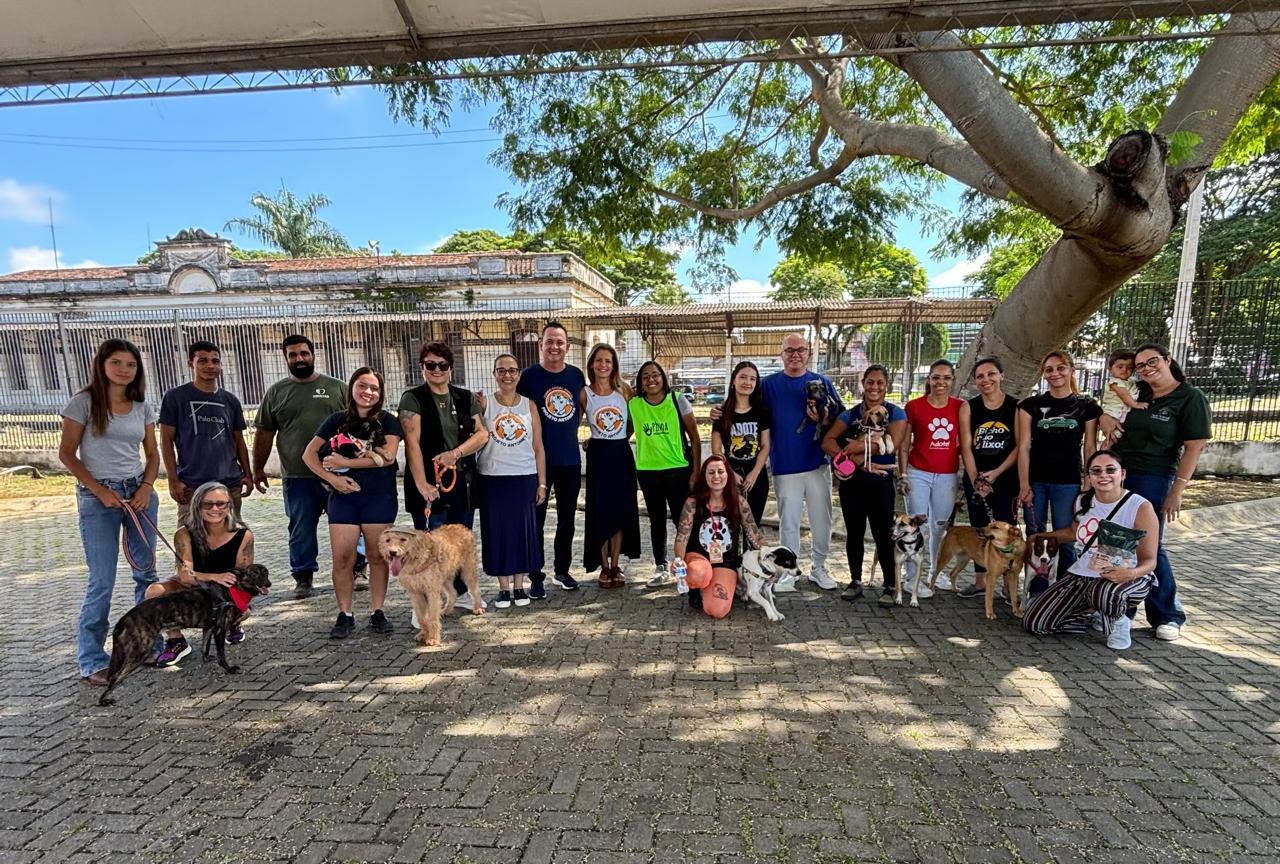 WhatsApp Image 2026-03-23 at 17.22.44