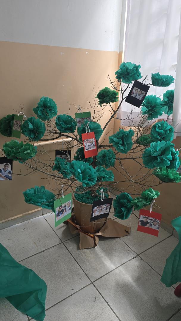 WhatsApp Image 2025-11-17 at 14.32.53