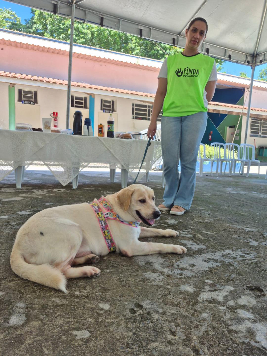 WhatsApp Image 2026-02-03 at 14.12.56 (1)