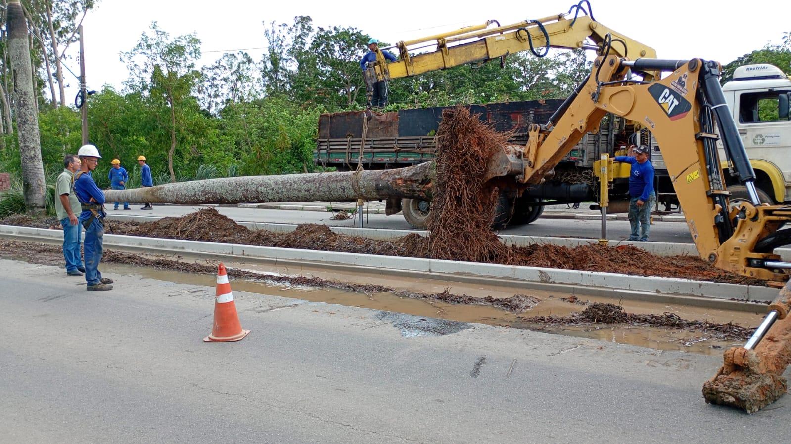 WhatsApp Image 2026-03-17 at 14.38.23 (1)