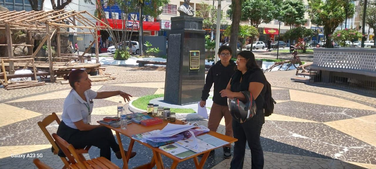 WhatsApp Image 2025-11-12 at 15.35.11