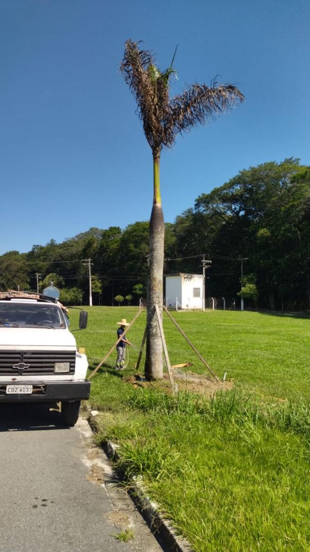 WhatsApp Image 2026-03-17 at 14.38.23