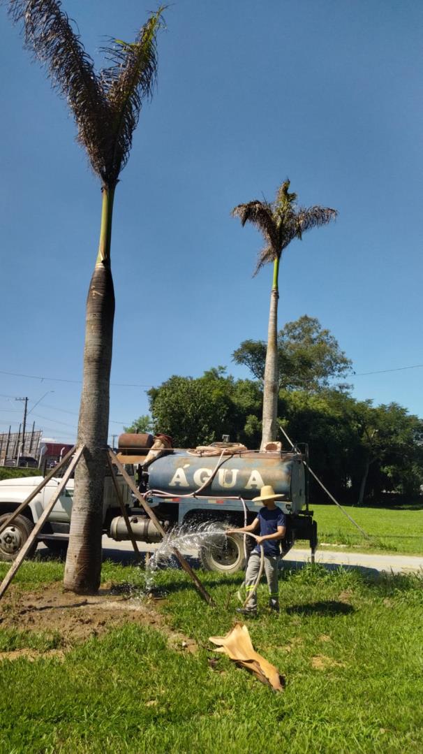 WhatsApp Image 2026-03-17 at 14.38.22