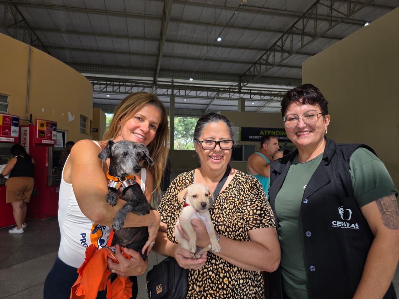 WhatsApp Image 2026-04-29 at 17.29.32