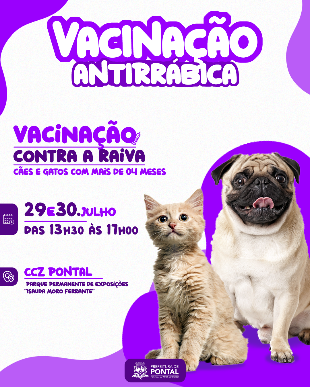 VACINAÇÃO copiar