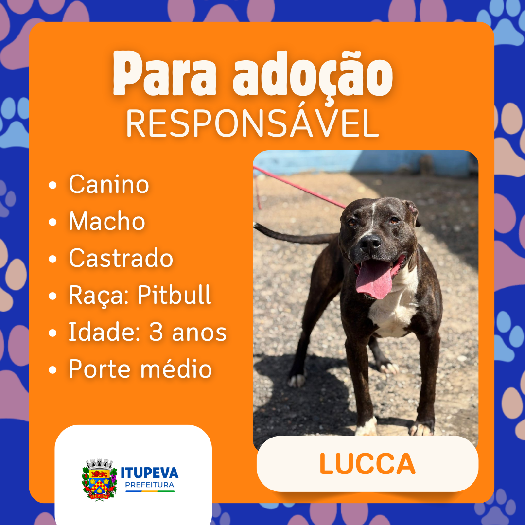 Para adoção