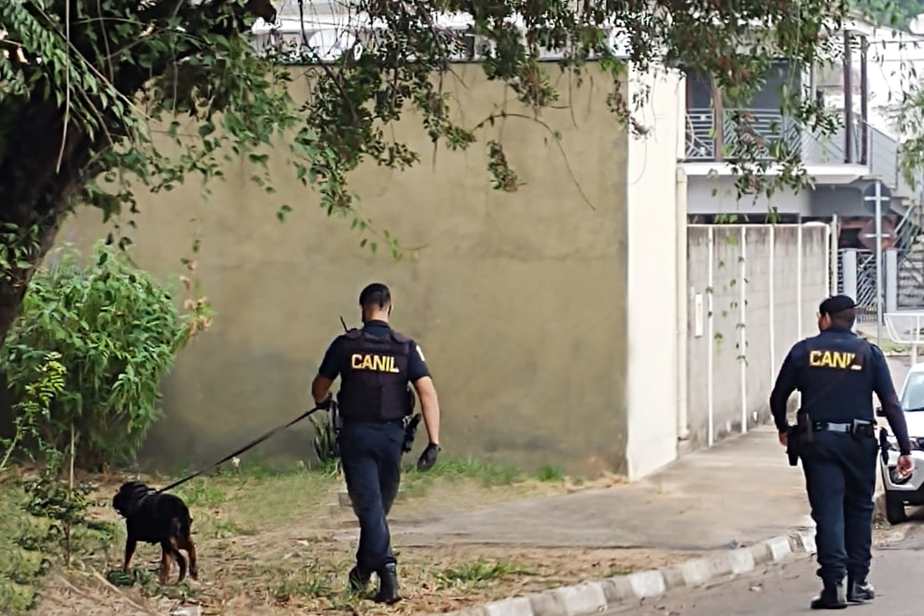 Guarda- Cão farejador passa por treinamento2