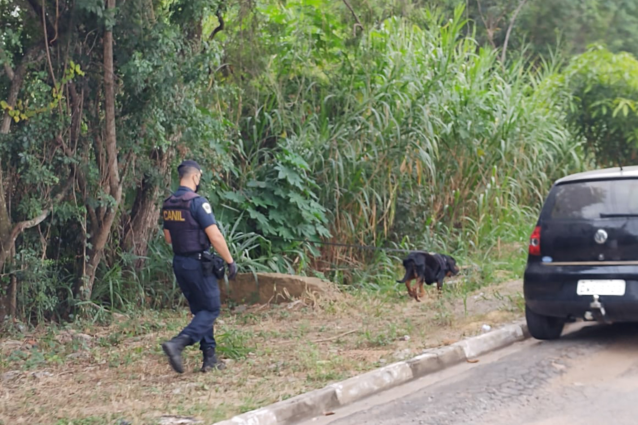 Guarda- Cão farejador passa por treinamento3