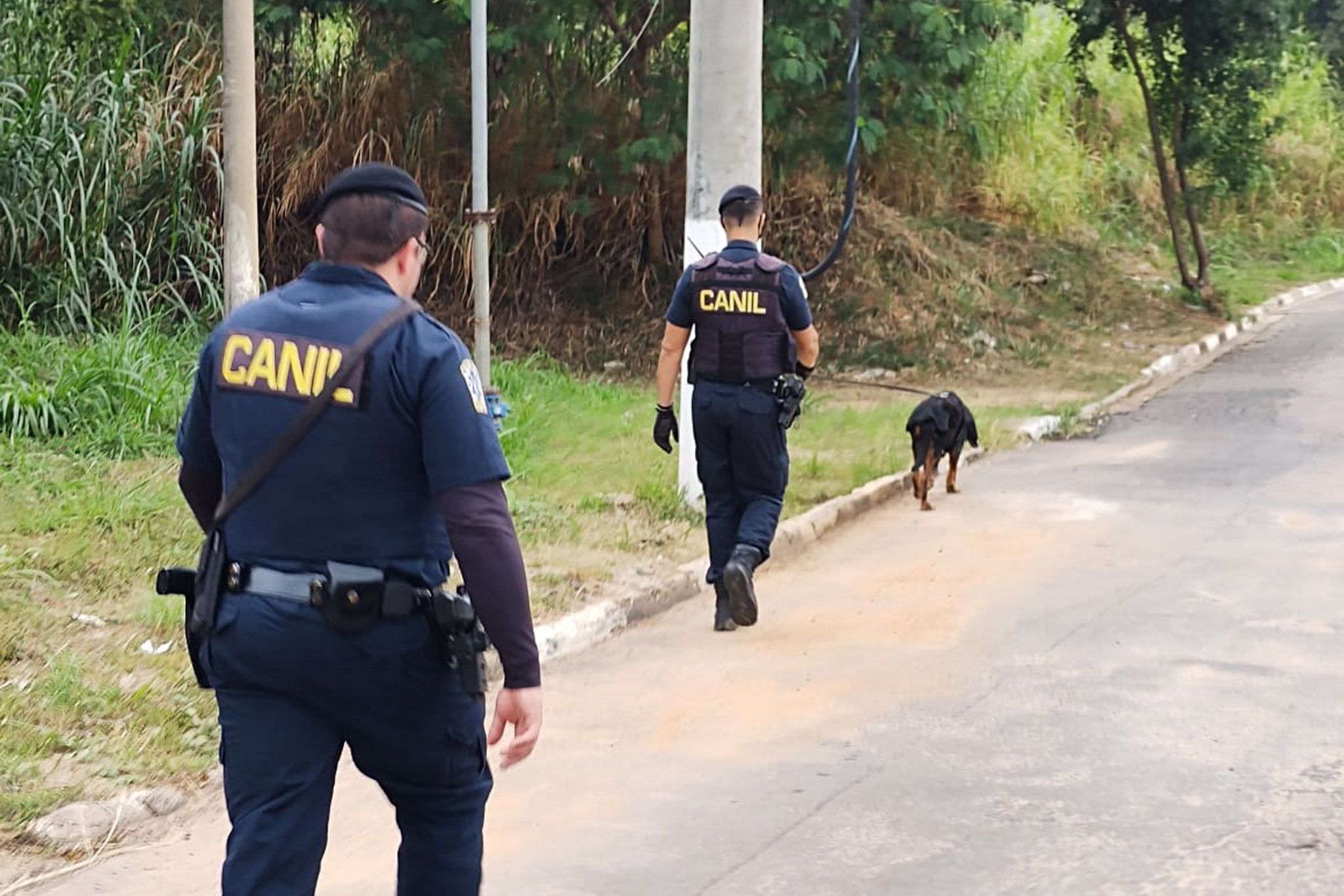 Guarda- Cão farejador passa por treinamento4