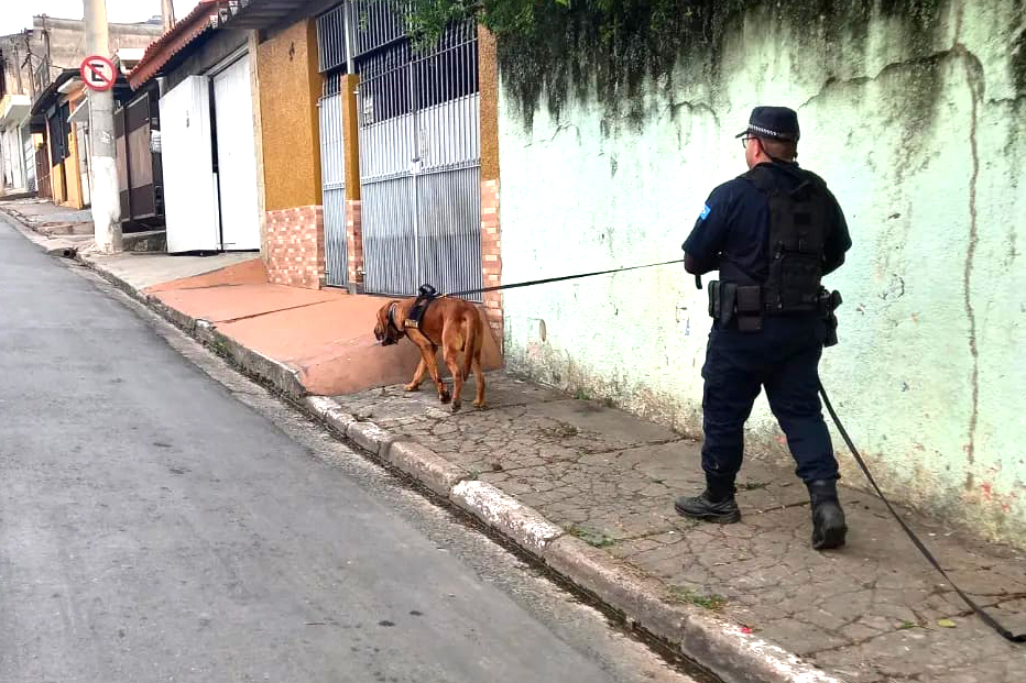 GCM-EM-ACAO (1)