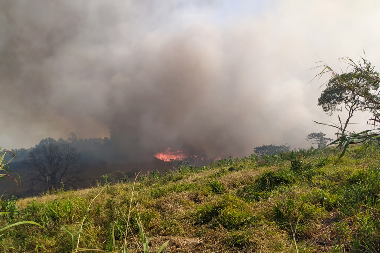 INCÊNDIO - NA REGIÃO DA FAZENDA SÃO PEDRO (1)