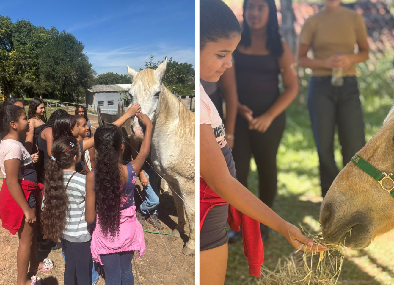 Prefeitura Site (1080 x 1350 px) (883 x 638 px) (6)