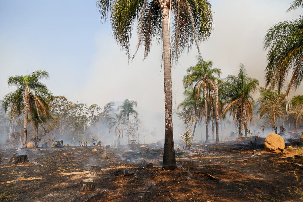 COMBATE INCÊNDIOS (1)
