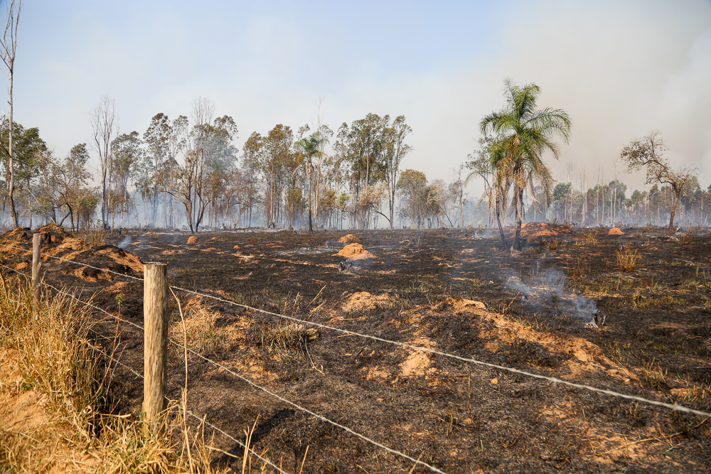 COMBATE INCÊNDIOS (2)