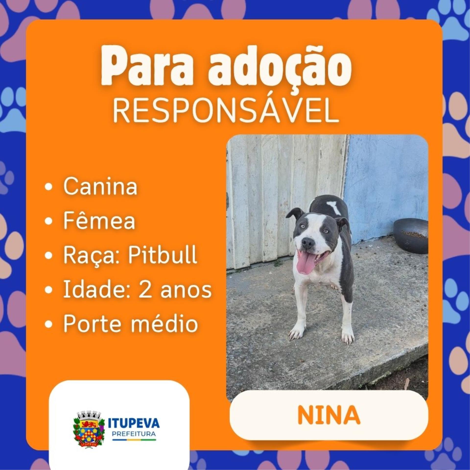Para ado&ccedil;&atilde;o