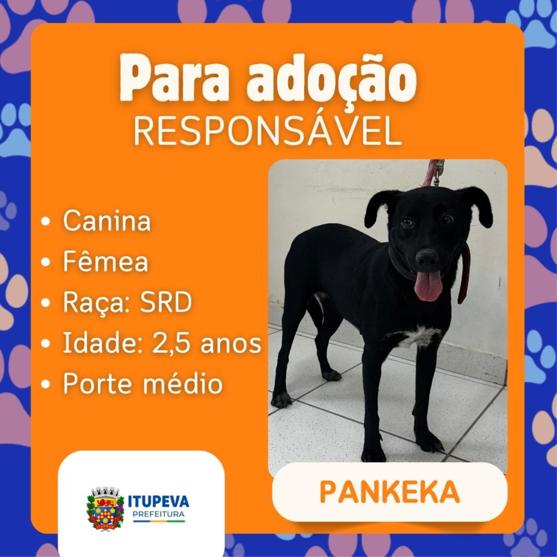Para ado&ccedil;&atilde;o (2)