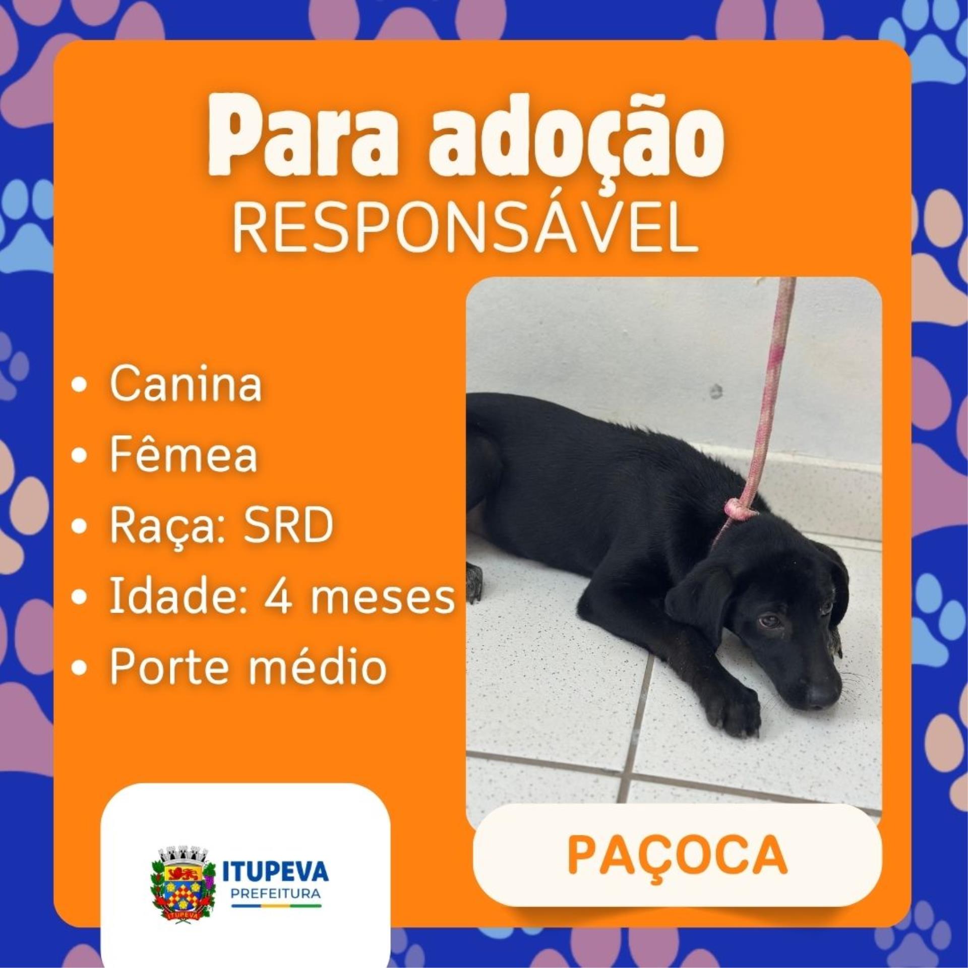 Para ado&ccedil;&atilde;o (3)