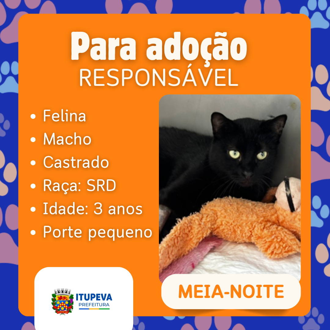 Para adoção (3)