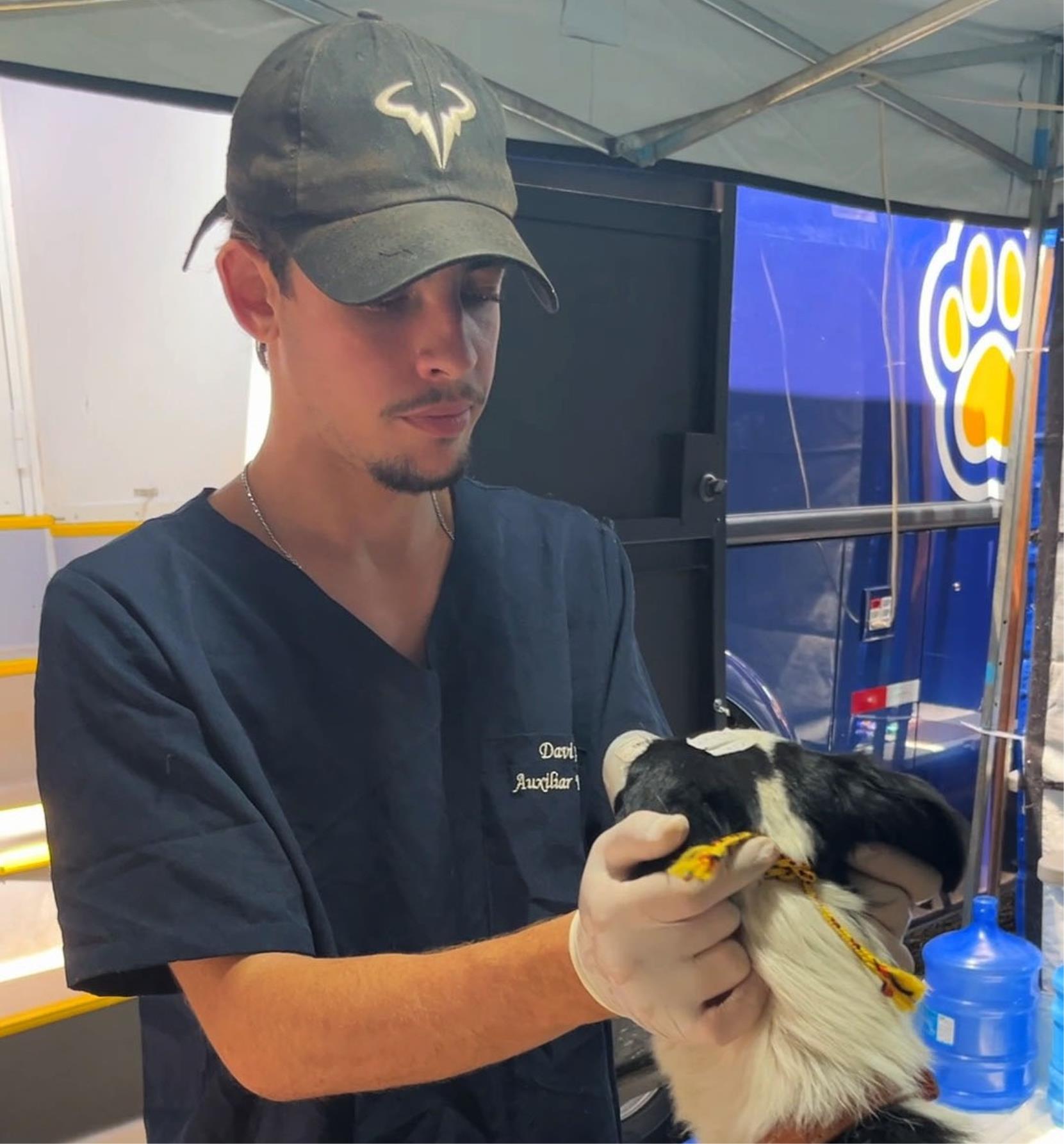 Mutirão Castração (8)